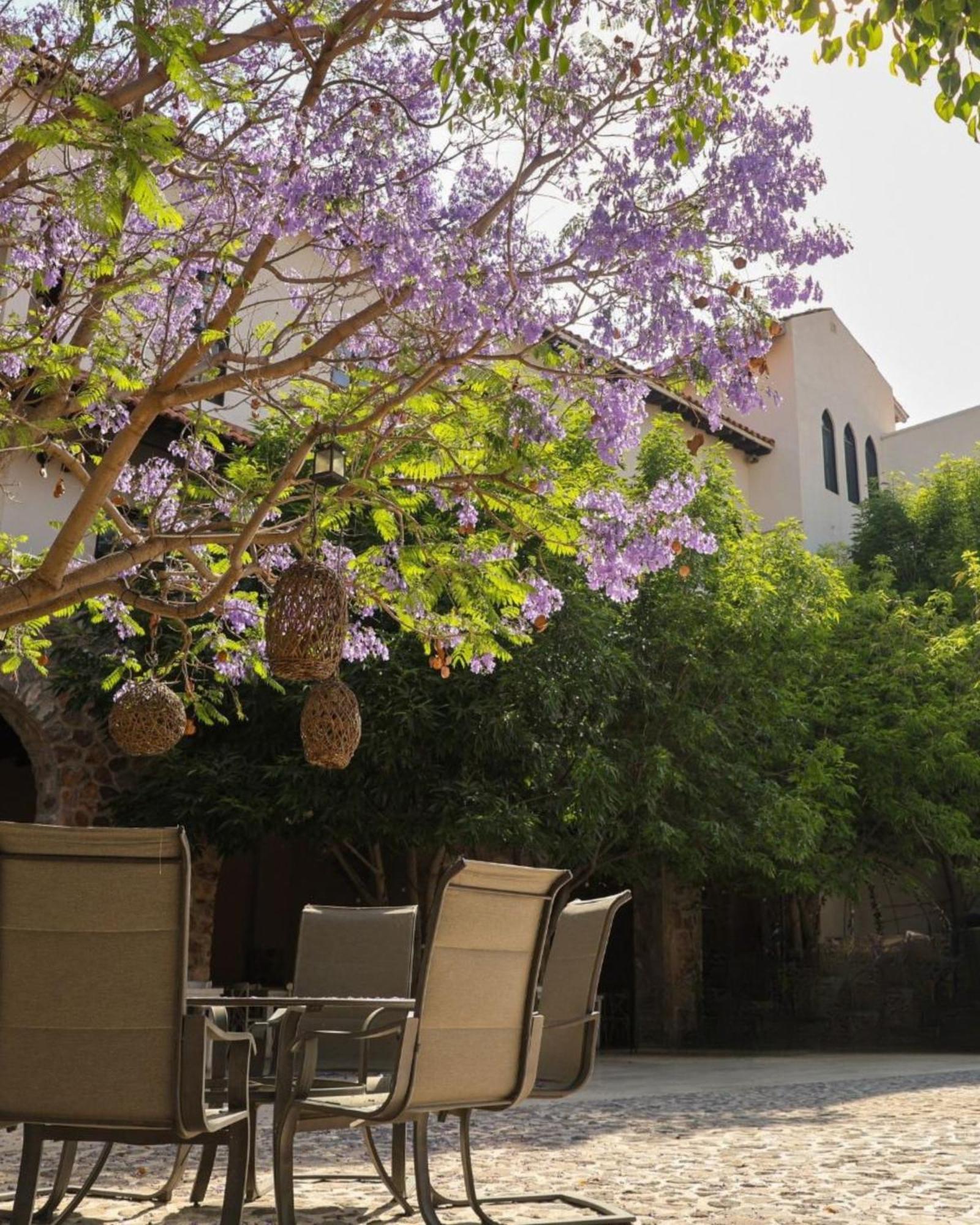 Suites Campestres Montebello Bernal Bagian luar foto